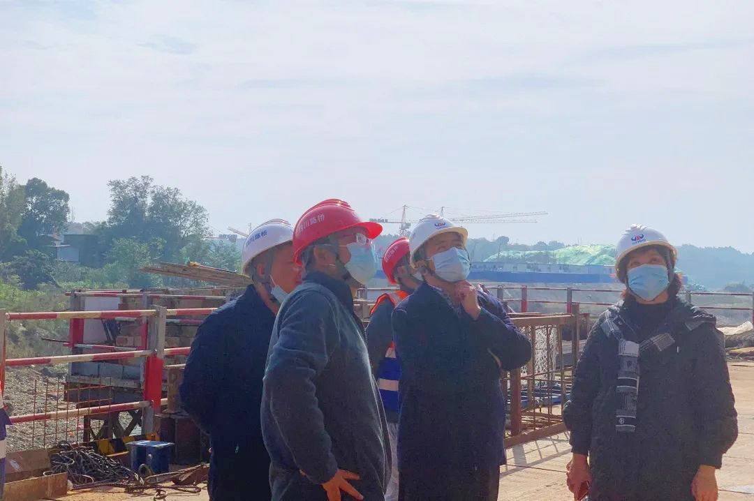 公司黨委副書記、董事、總經理杜江林到成金簡快速路項目檢查指導工作