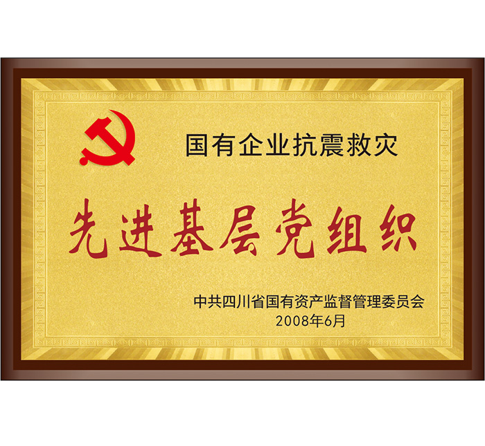 國有企業(yè)抗震救災(zāi)“先進基層黨組織”