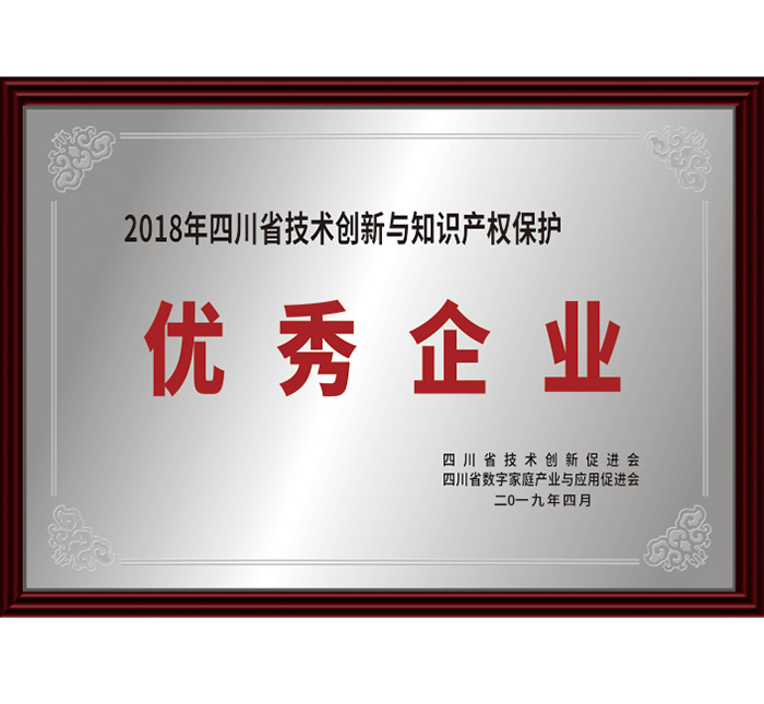 2018年四川省技術(shù)創(chuàng)新與知識產(chǎn)權(quán)保護“優(yōu)秀企...